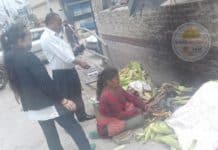 मकै पोल्नेलाई ४५, भैँसी बेचे हजार रुपैयाँ कर