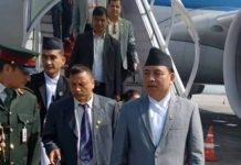 Vice President Pun returns home