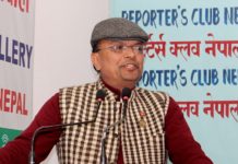 राजा आवश्यकत्ता भन्दा छिटो फालिएको हो : प्रा.डा. ढुंगेल