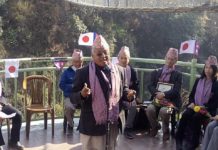 नेपालमा जापानको राष्ट्रिय फुल रोपाइ भव्य रुपमा सम्पन्न