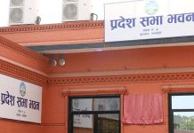 जन्मका आधारमा नागरिकता सन्तानलाई वंशजको नागरिकता नदिन प्रदेश सांसदको माग