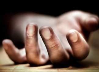 मृत अवस्थामा फेला