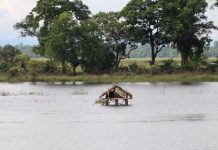 भारतीयले कोशीको पानी छोड्दा ९० परिवार डुबानमा