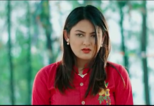 बर्षा र आकाश अभिनित ‘दिल तोडेर गयौ’ (भिडियो)