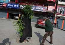 मान्छे नै रूख बनेर विरोध प्रदर्शन