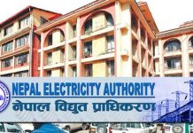 नेपाल विद्युत प्राधिकरणमा विभिन्न पदका लागि कर्मचारी माग