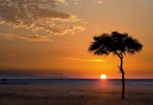 आज वर्षकै लामो दिन