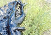 अलकत्राको खाल्डोमा खसेको व्यक्ति उधार गर्न चिकित्सकलाई हम्मे हम्मे