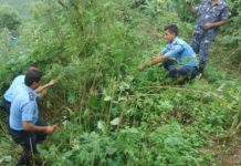 तीन हजार गाँजाकाे बाेट फडानी