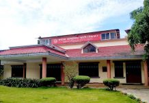 सात प्रदेशमा सह-इन्चार्ज थपियो