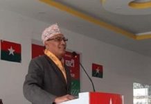 राज्य मात्र नभइ पार्टी पनि सङ्घीय ढाँचाको हुनुपर्नेमा जोड : सहअध्यक्ष श्रेष्ठ