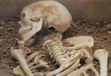भक्तपुरमा मानव कंकाल