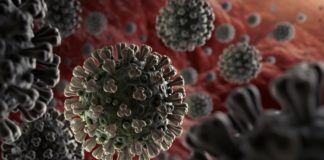 78 Nepalis die of coronavirus; over 5,000 infected globally