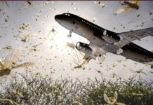 ‘सलह’ उडानका लागि खतरा