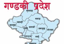 गण्डकी प्रदेशमा कोभिड–१९ सङ्क्रमित १४५ पुगे