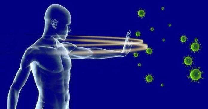 immunity-power