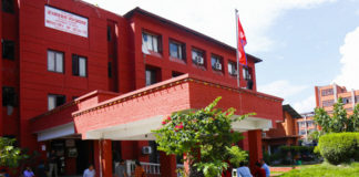 स्वास्थ्यकर्मीहरूको पारिश्रमिकसम्बन्धी माग सम्बोधन गर्न १४ सदस्यीय समिति गठन