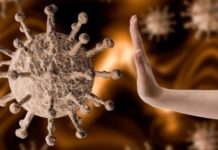 काेभिड १९ काे नियन्त्रण गर्न चमेरोको अध्ययन आवश्यक : विज्ञ