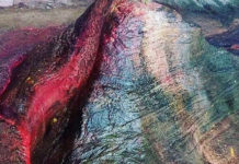 सन्तान नहुनेले सन्तान पाउने देशकै अनाैठाे मन्दिर