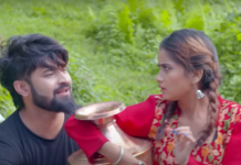 एलिना र बिवेकको स्वरमा “डल्ली” बजारमा