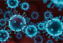 काठमाडौं उपत्यकामा थपिए ३७७ संक्रमित