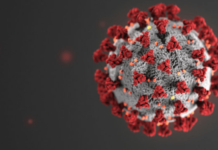 दक्षिण कोरियामा एकै दिनमा तीन लाख ९५ हजार सङ्क्रमित