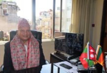 प्रेस काउन्सिलकाे कार्यवाहक अध्यक्षमा गोपाल बुढाथोकी