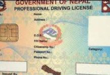 बितेको तीन महीनामा ४ हजार ७०० सवारी चालक अनुमतिपत्र जारी