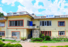 लघुबीमा कम्पनी खोल्ने तयारीमा