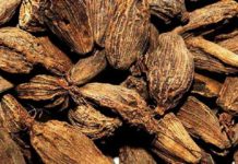 अलैँचीबाट एक अर्ब ३५ करोड आम्दानी