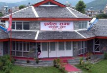 गण्डकी प्रदेश सरकारलाई स्वास्थ्य सामग्री हस्तान्तरण