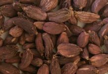 अलैँची उत्पादनमा वृद्धि