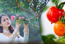 घाँटीको कालो दागबाट छुटकारा पाउन गाेलभेडा उपयुक्त