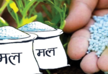 ‘मल पनि छैन सिँचाइ पनि छैन ’