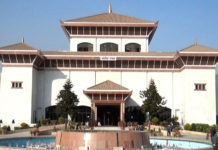 ‘स्वतन्त्र उम्मेदवारी अभियान’ विशेष भेला सुरु