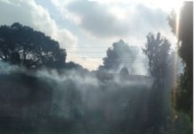 शङ्कास्पद आगलागीको छानबिन गर्न समिति
