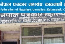 निर्वाचित भएको १६ महिनापछि नेपाल पत्रकार महासंघ काठमाडौं शाखा गठन