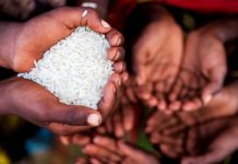 सुडानमा खाद्यान्नको चरम सङ्कट पर्न लागेको संयुक्त राष्ट्रसङ्घको चेतावनी