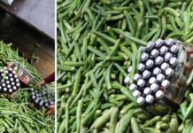 तरकारीको बोराभित्र अवैध लागुऔषध तस्कर गर्ने पक्राउ