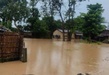 कैलाली बाढी : वस्तुभाउ पनि खान नपाएर मर्ने भए