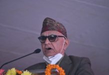 राप्रपाले पूर्वअध्यक्ष डा. प्रकाशचन्द्र लोहनीको नेतृत्वमा केन्द्रीय निर्देशन समिति गठन