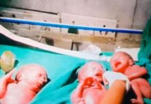 तिम्ल्याहा बच्चालाई जन्म दिइन