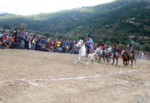 पर्यटकलाई आकर्षित गर्न घोडेपानीमा घोडा दौड प्रतियोगिता हुने