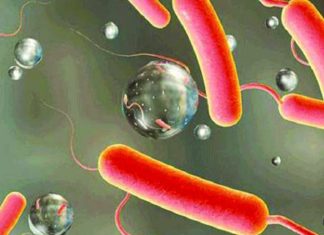 हैजाबाट सङ्क्रमित ६४ जना बिरामी उपचाररत