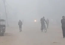 सर्लाहीसहित तराईका जिल्लामा चिसाे बढ्याे