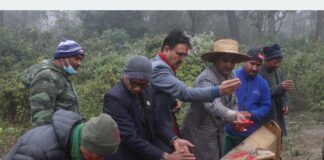 अब नवलपुरबाट चितवन निकुञ्जमा जङ्गल सफारी