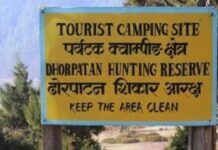 ढोरपाटन सिकार आरक्ष घुम्ने पर्यटक बढ्याे