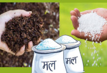 रासायनिक मल वितरण समस्या समाधान निर्देशिका संशोधन गरिने