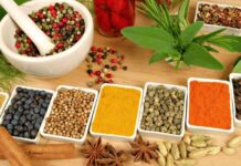 काभ्रेपलाञ्चोकमा ‘मुख्यमन्त्री जनता स्वास्थ्य कार्यक्रम’ लागू