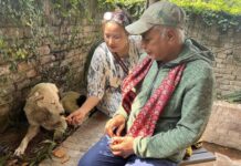 सडक रक्षक संरक्षणमा अतुलनीय योगदान गरेबापत नासिर खान पटेल नेवाः सम्मान